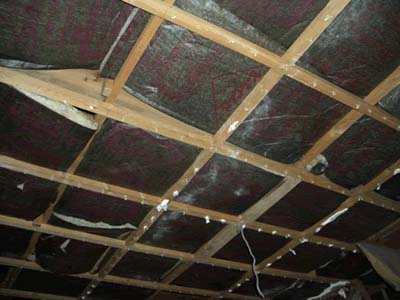 �J�r�Ő^�����@�یn�f�M��