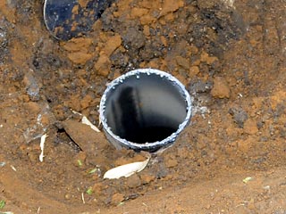 �ł����݌�̃��x���m�F