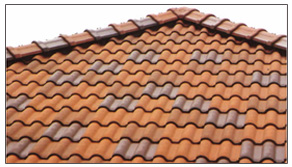 ���|���摜