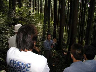 ���w�c�A�[�ʐ^2